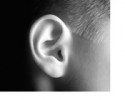 ear