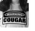 cougar